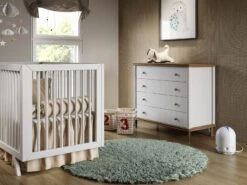 Airfree P2000 Filterless Mold Destroying Air Purifier -Home Sale Store airfree p2000 white blue nursery 02