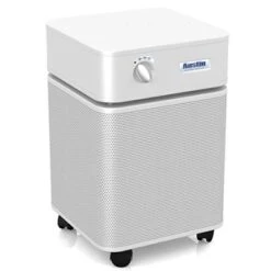 Austin Air Allergy Machine HEPA/HEGA Air Purifier - HM405 -Home Sale Store austin air allergy machine 2 1