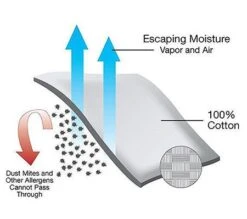 Organic All-Cotton Allergy Pillow Covers -Home Sale Store n 7252478e m va dv white 400fx 2