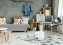 Boneco S250 Digital Steam Humidifier -Home Sale Store s250 boneco image living room landscape 01 highres