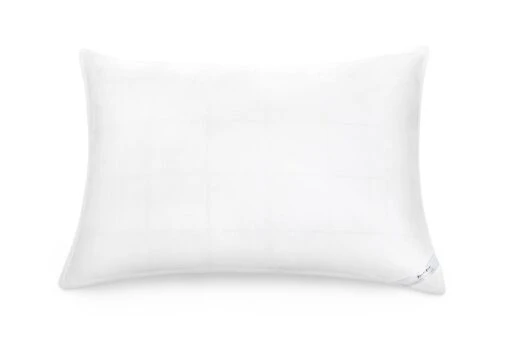 SmartSilk Silk Lined Pillow
